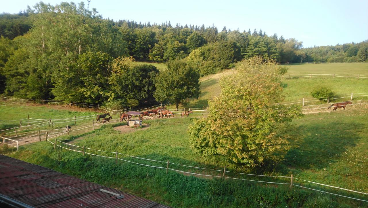 Apartment Zrebcin Mlyncok Slovenska Lupca